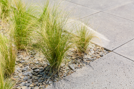 Paving Slabs