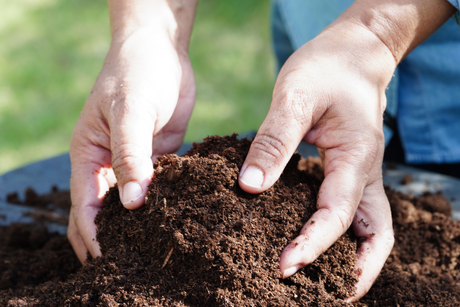 Multi-purpose Compost