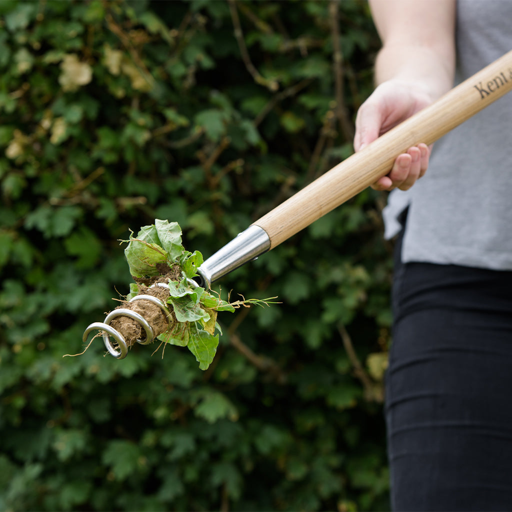 Kent & Stowe Stainless Steel Long Handled Corkscrew Weeder