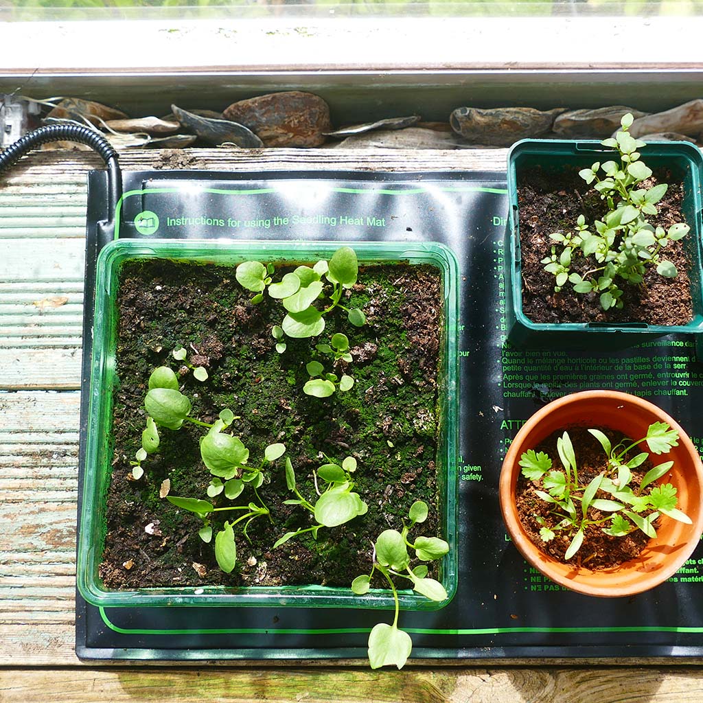 Gro-Sure Heated Propagation Mat