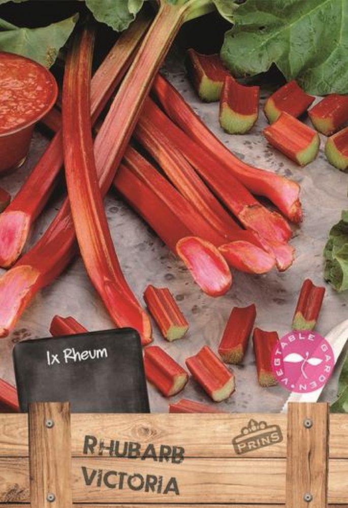 Rhubarb Victoria 1 Per Pack