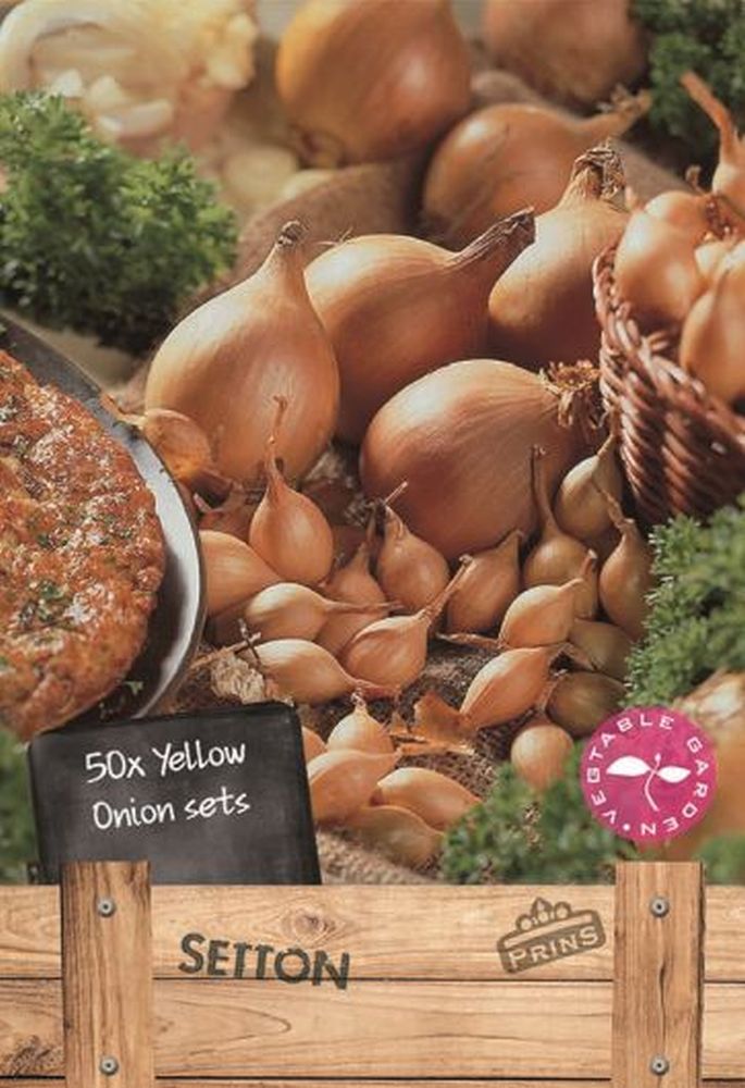 Onions Setton 50 Per Pack