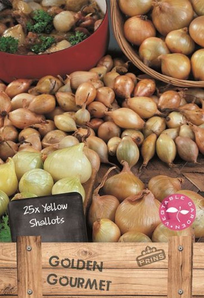 Shallots Yellow 25 Per Pack