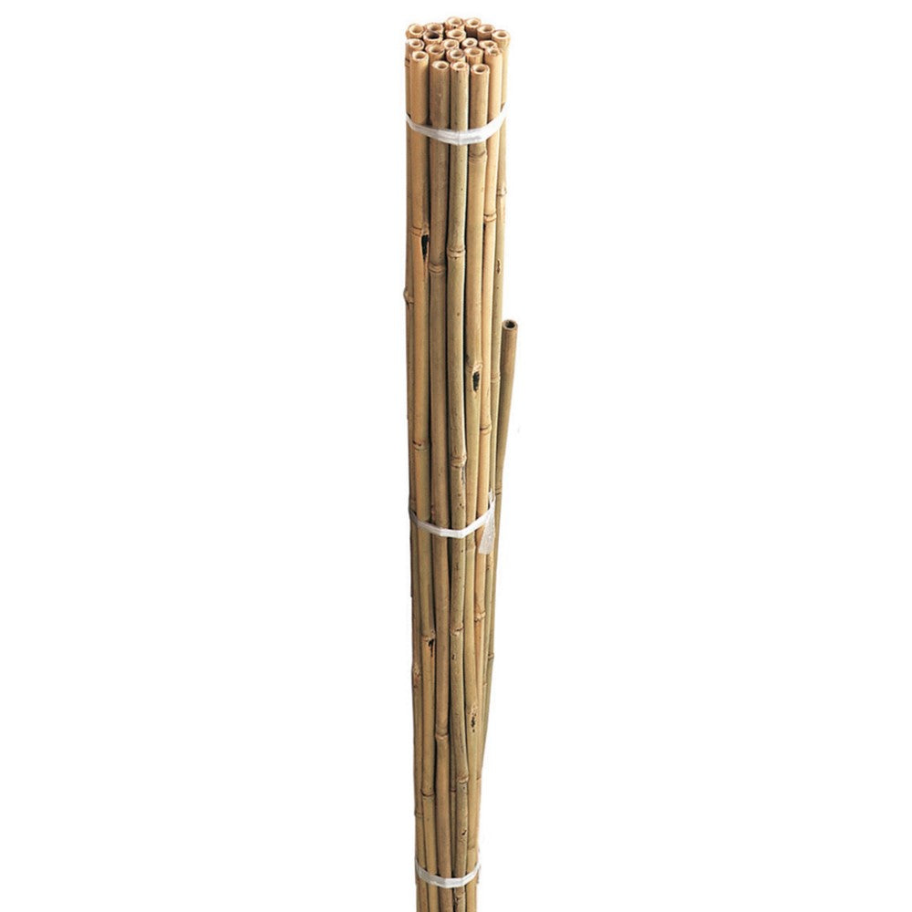 Bamboo Canes Bulk Bundle 90cm 3' 20pk