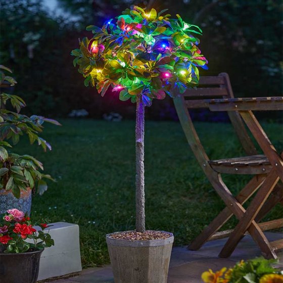 String Lights - 100 Multi Coloured LED