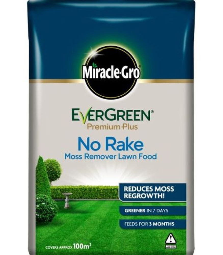 Evergreen No Moss No Rake 200m2