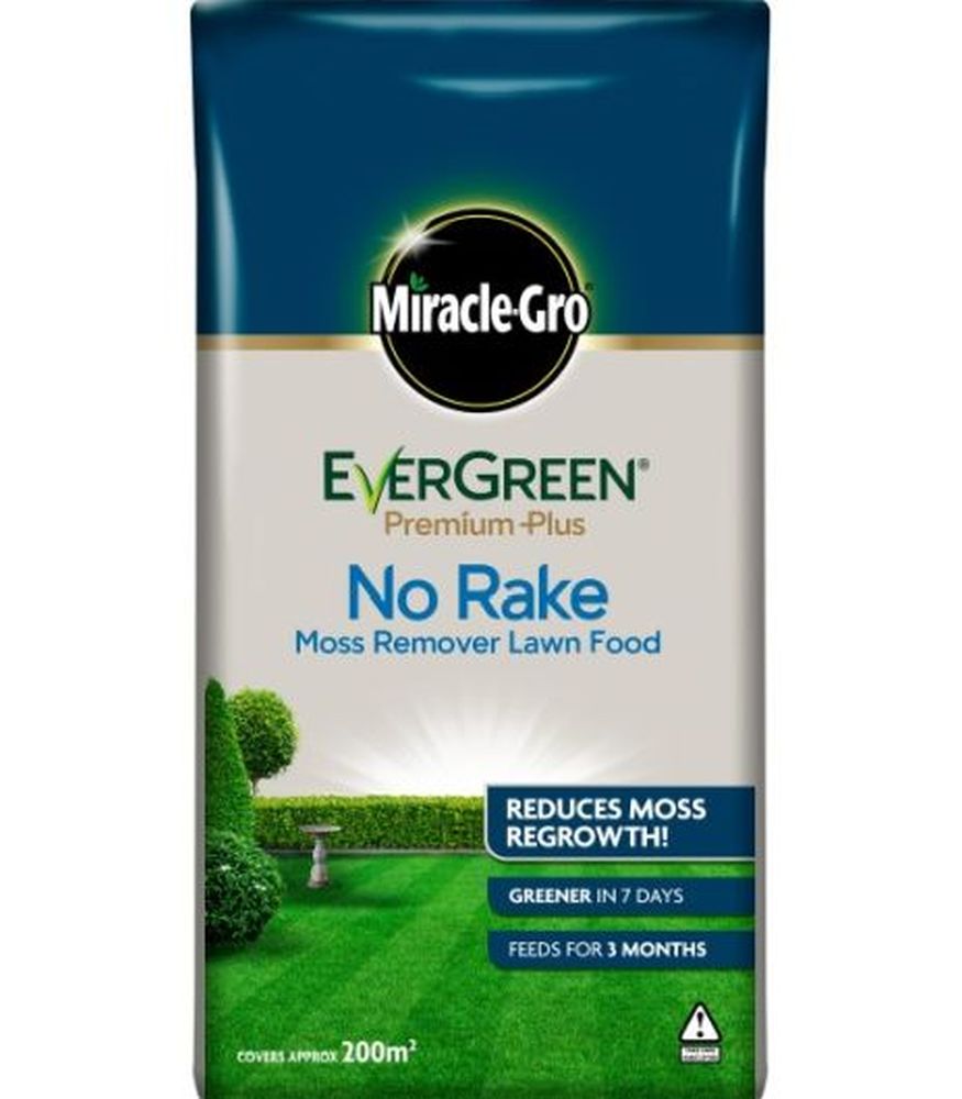 Evergreen No Moss No Rake 200m2