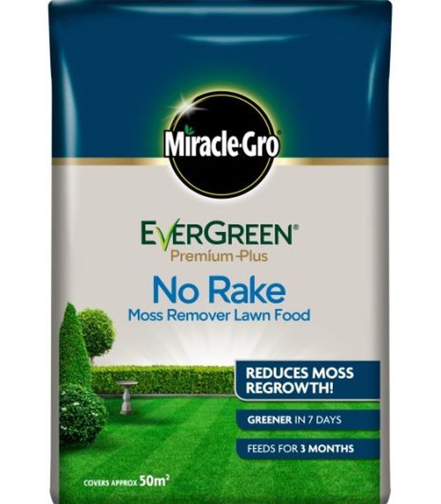 Evergreen No Moss No Rake 200m2
