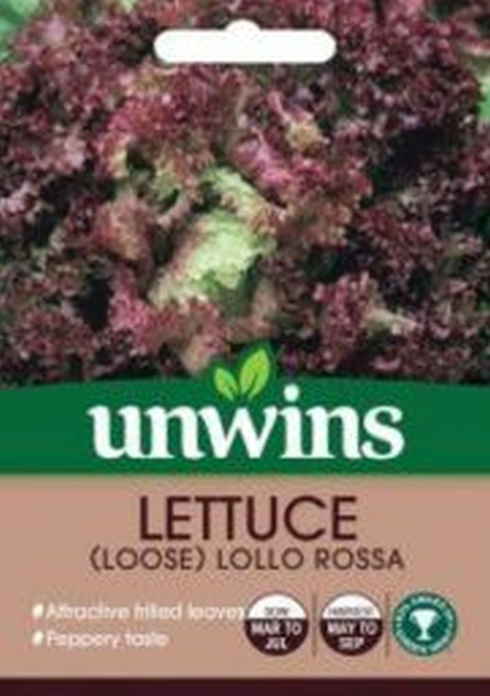 Lettuce (loose) Lollo Rossa