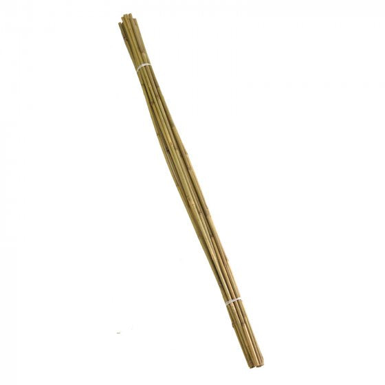 Bamboo Canes Bulk Bundle 180cm 6' 10pk