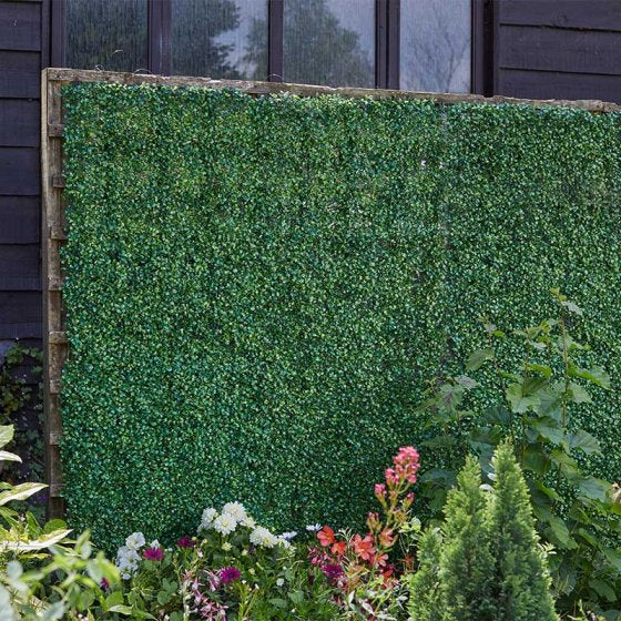 Boxwood Screen Panel 60 x 40 cm