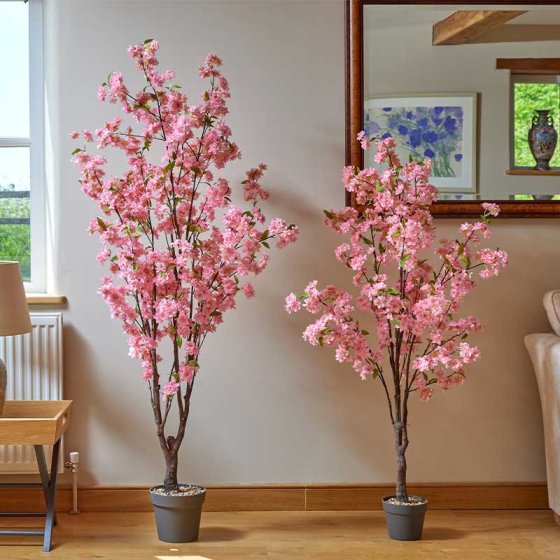 Pink Cherry Tree - 170 cm