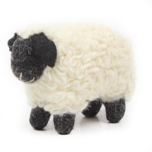 British Suffolk Sheep