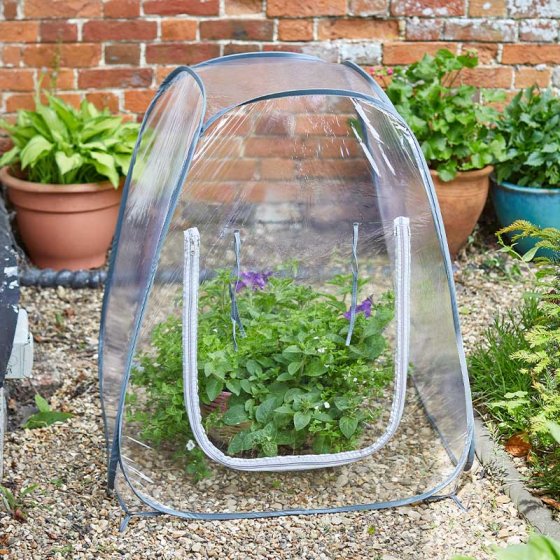 Pop-Up GroZone 60 x 50 x 50cm