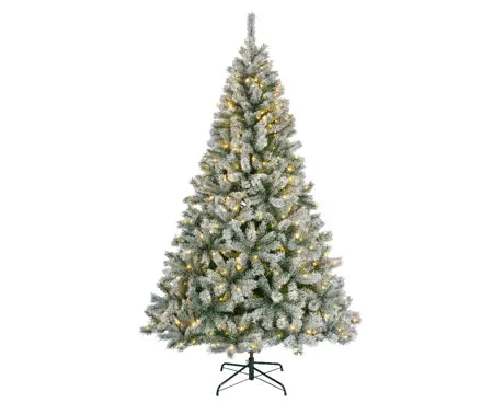 Pre-Lit Frosted Canada Spruce 6ft