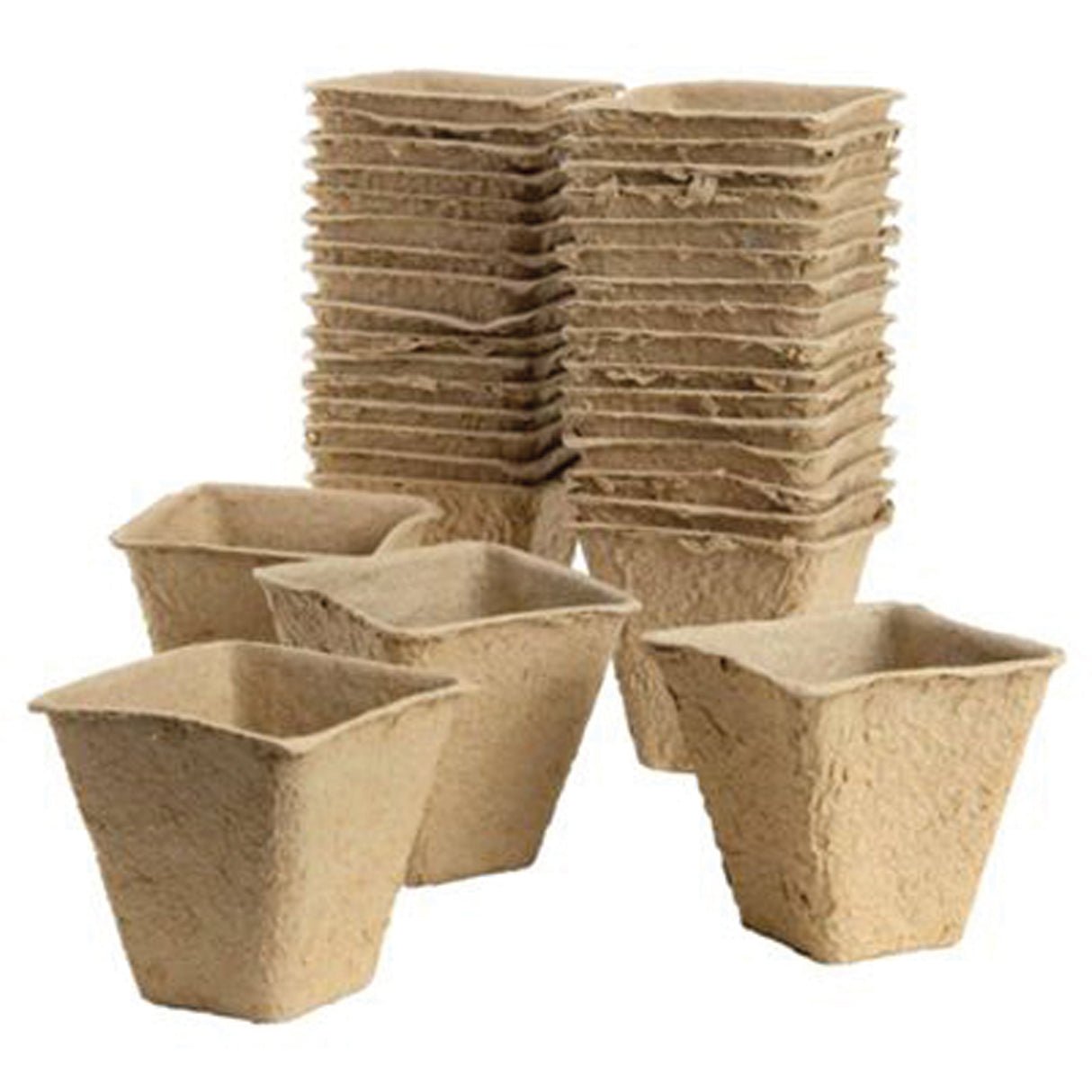 Gro-Sure Fibre Pots Square 6cm 20pk
