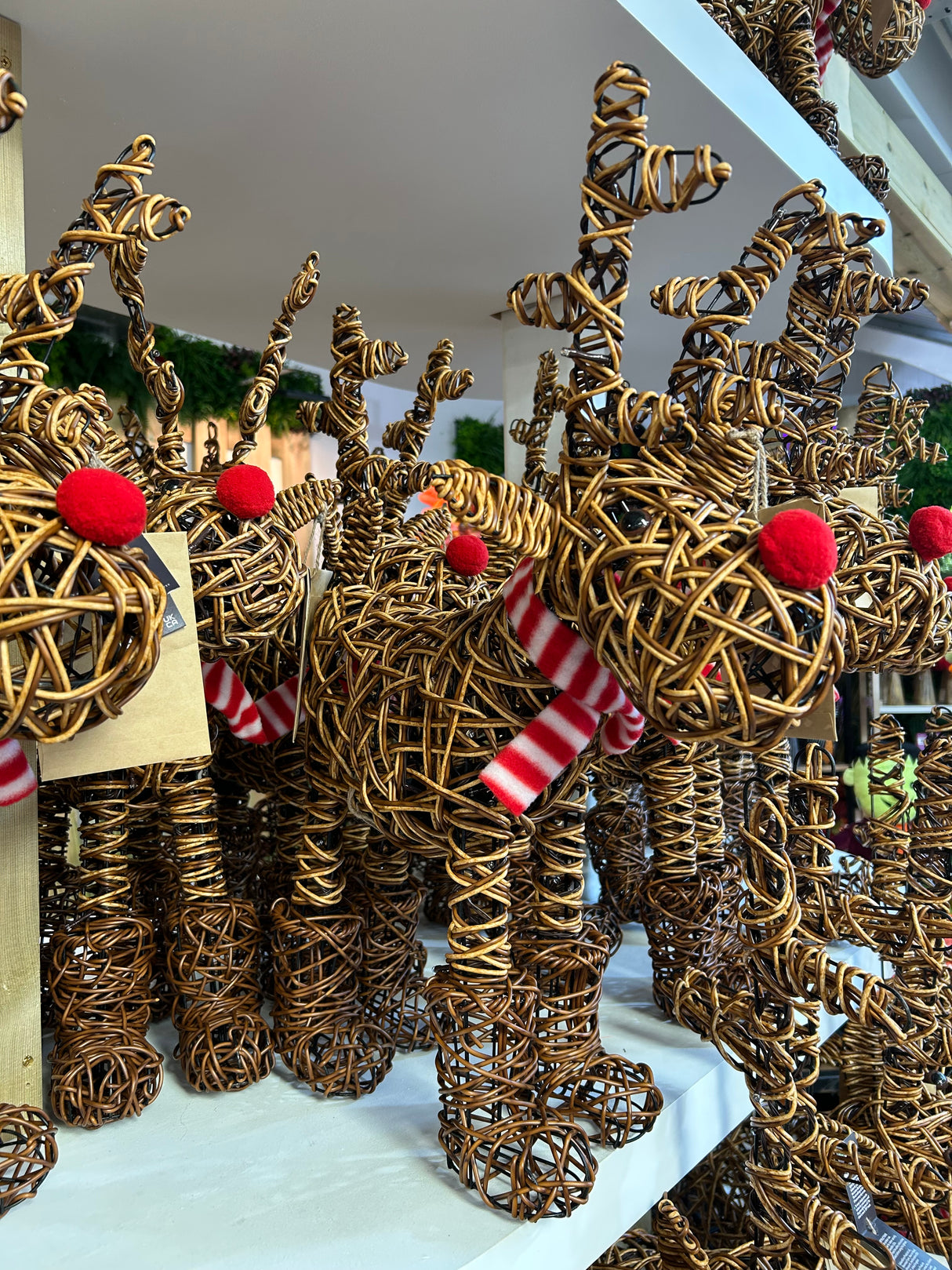 63cm Brown Wicker Rudolph with 80 LEDs