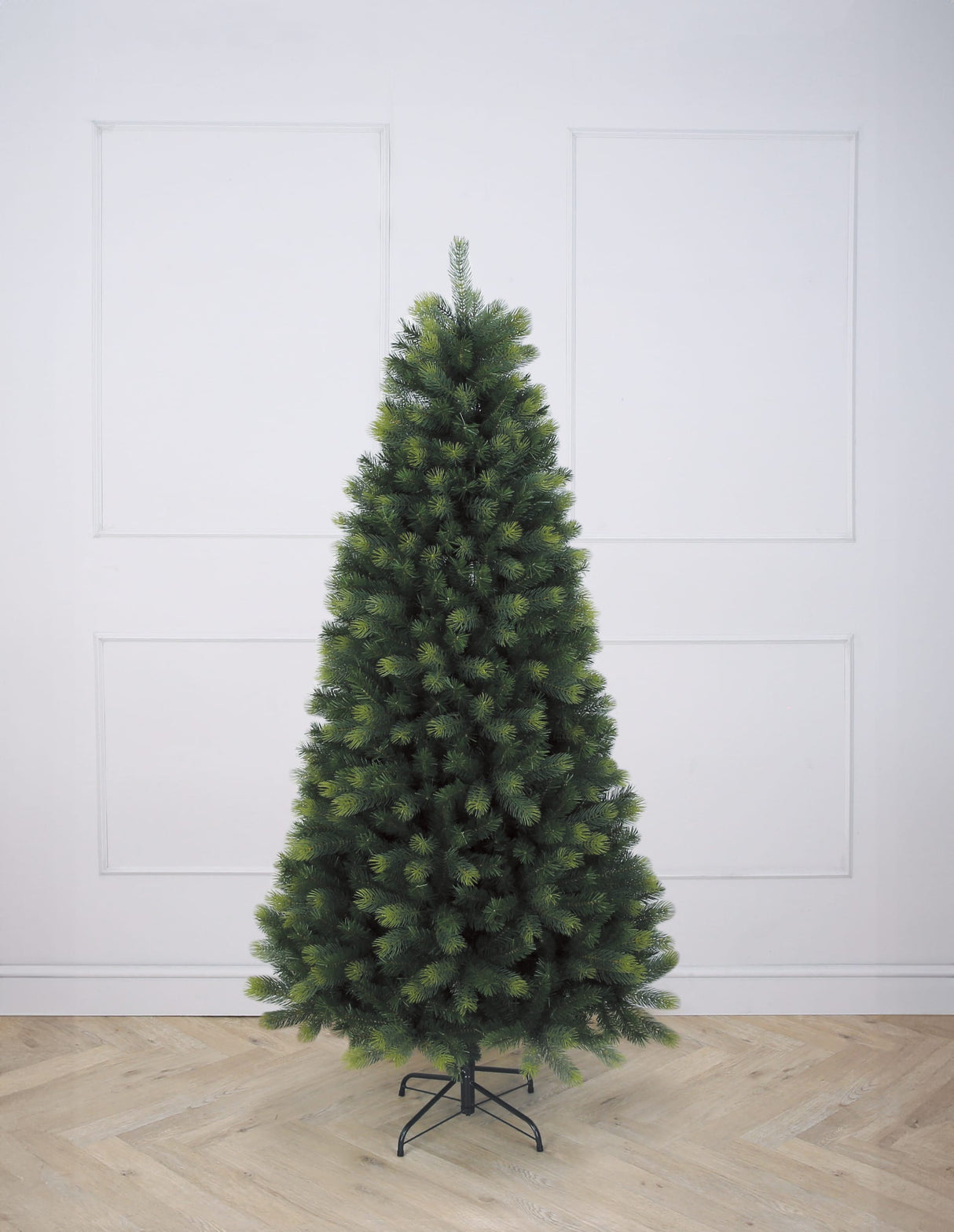 Aspen Fir (Various sizes)