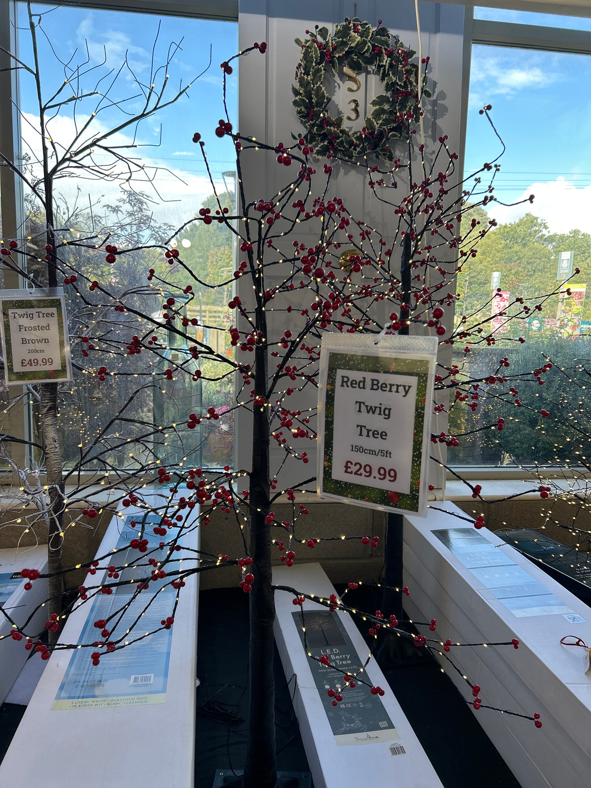 Red Berry Twig Tree (Various sizes)