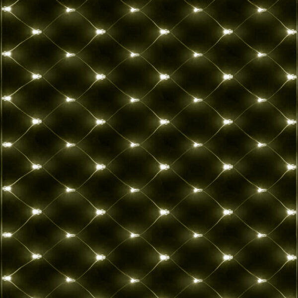 Chasing Net Light with 100 Warm White LEDs
