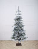 Elsa Frosted Snowy Fir Pre-Lit (Various sizes)