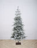 Elsa Frosted Snowy Fir Pre-Lit (Various sizes)