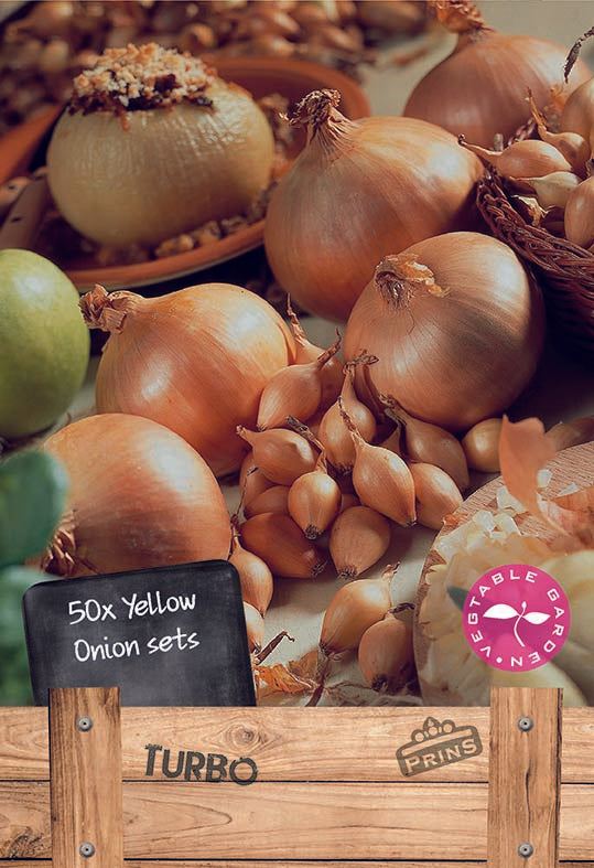 Onions Turbo 50 Per Pack