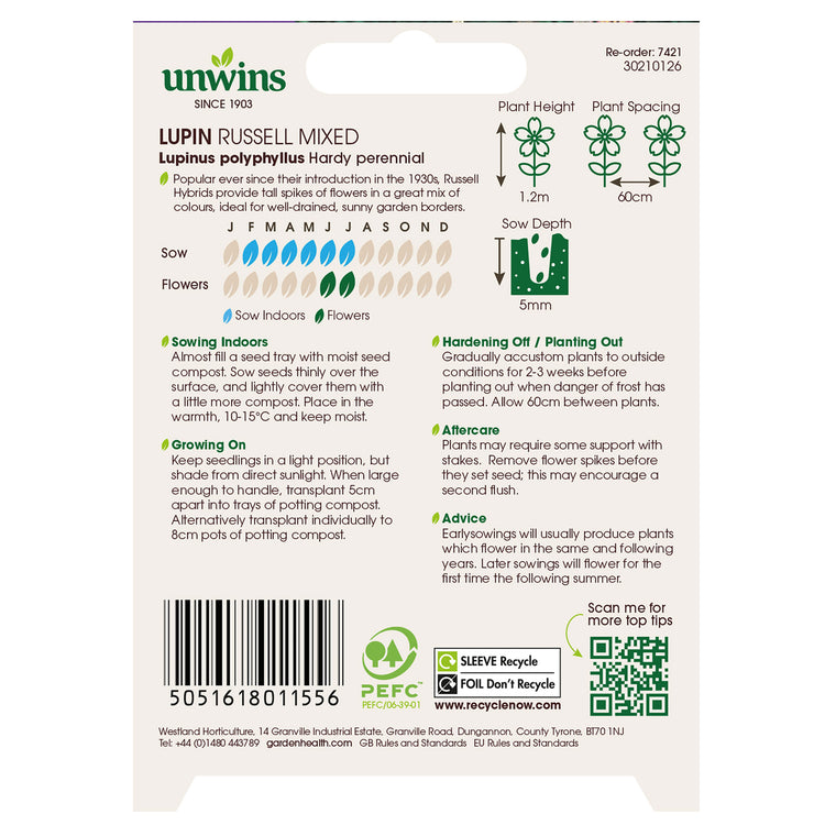 Lupin Russell Mixed