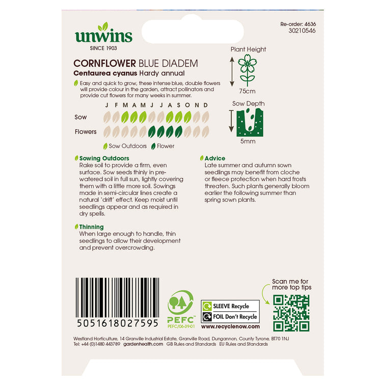 Cornflower Blue Diadem