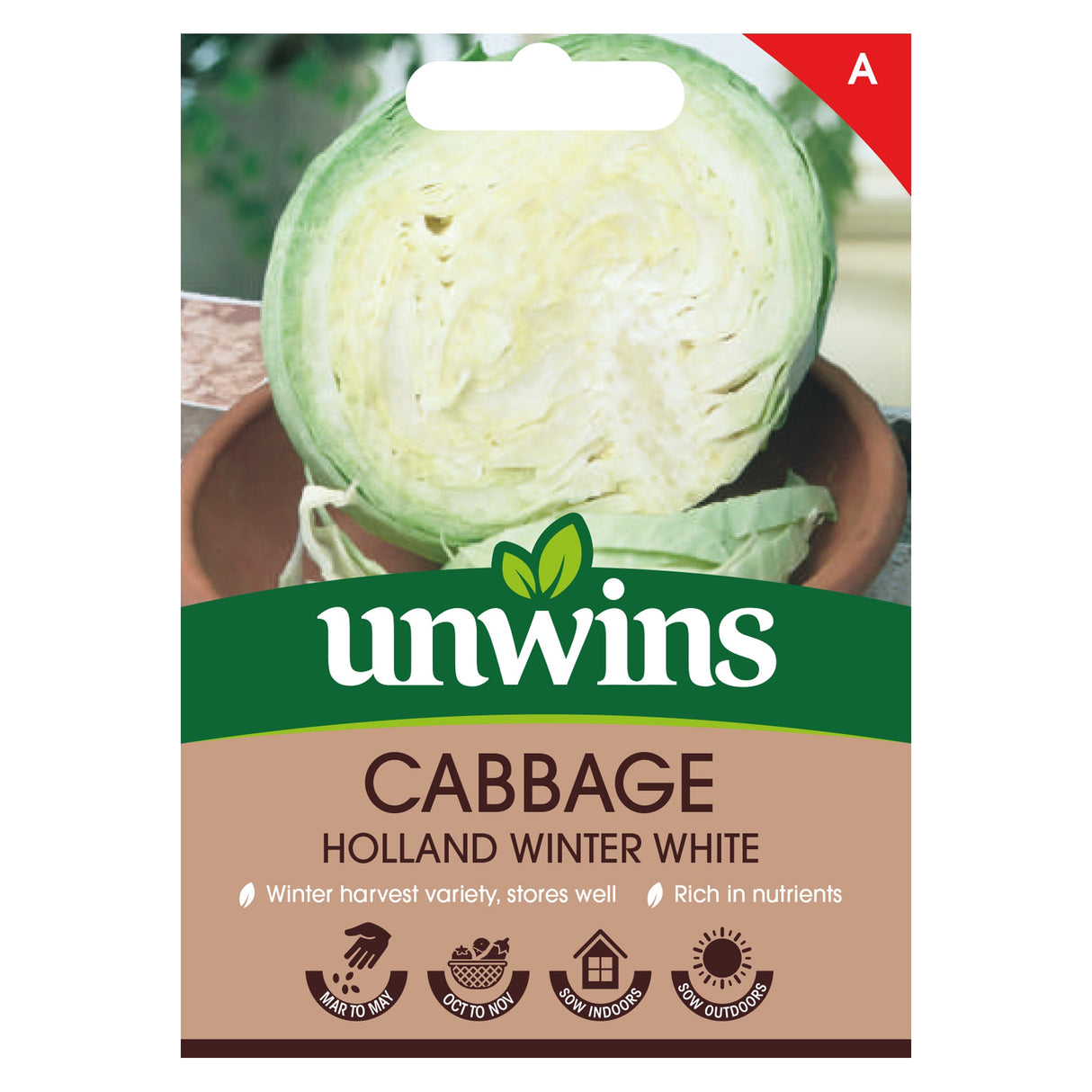Cabbage Holland Winter White