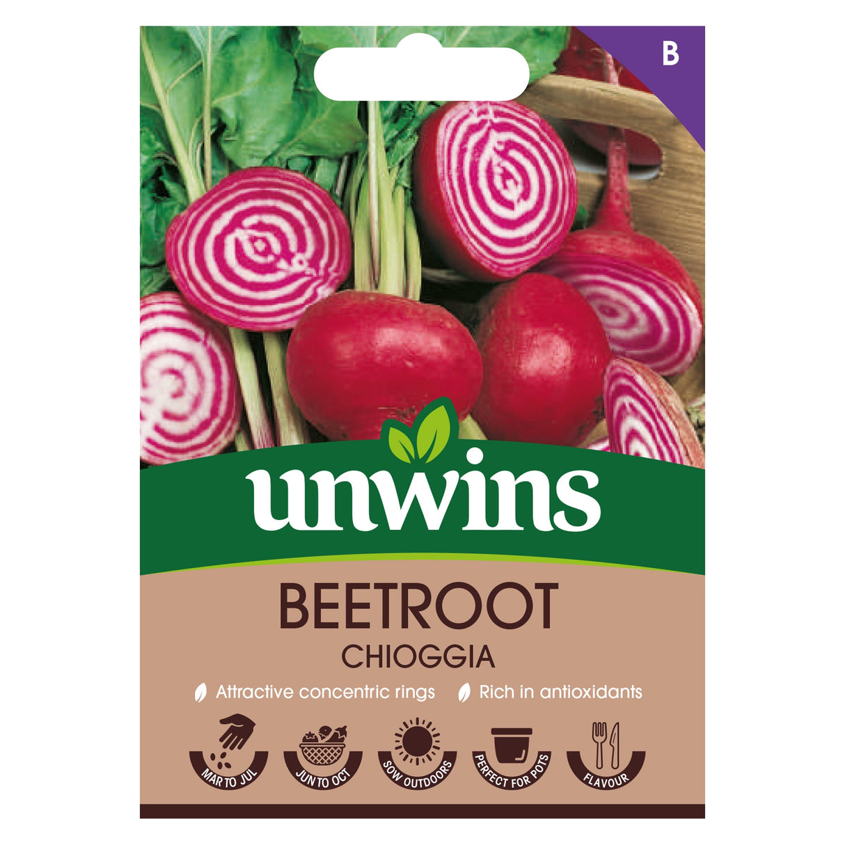 Beetroot (Round) Chioggia
