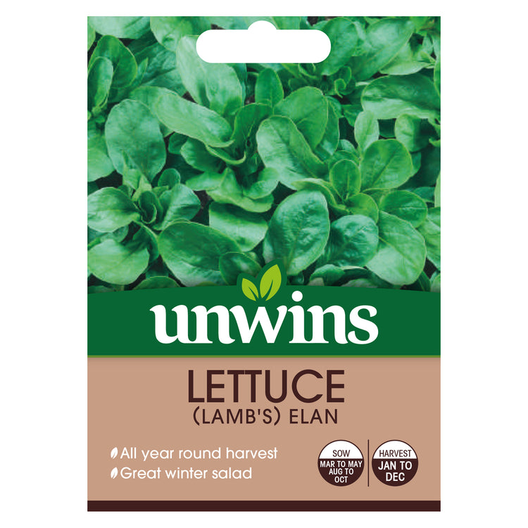 Lettuce (Leaves) (Lamb's) Elan