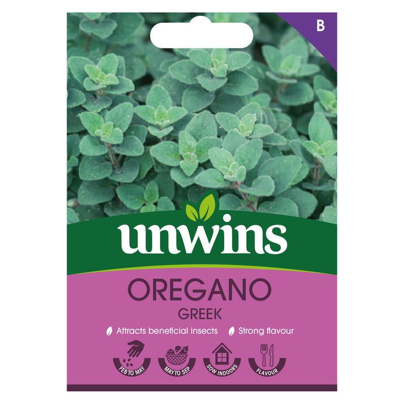 Herb Oregano Greek