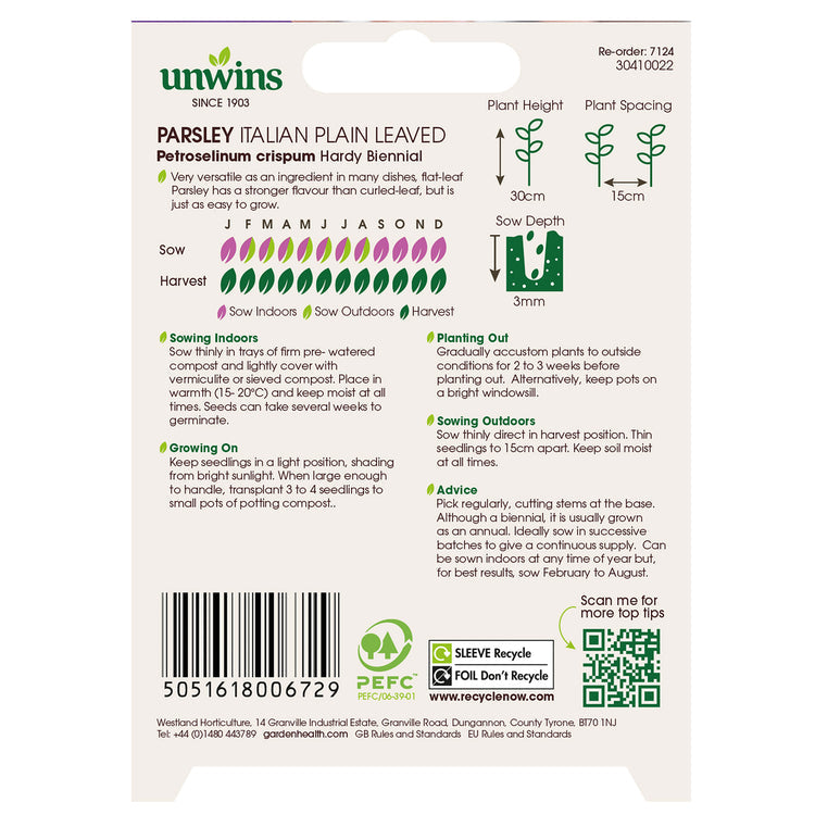 Herb Parsley Italian Plain Leaved