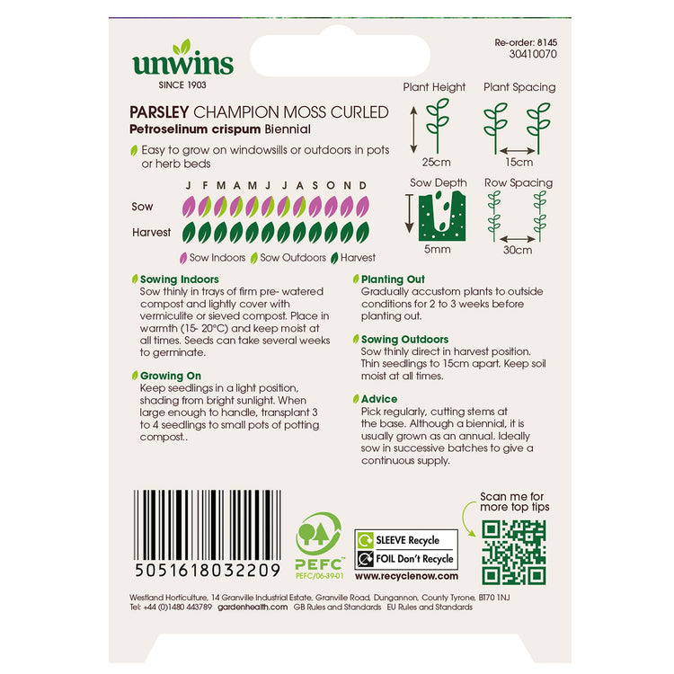 Herb Parsley Champion Moss Curled