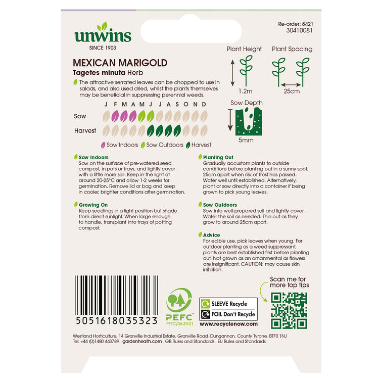 Herb Mexican Marigold