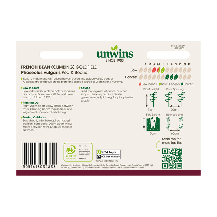 French Bean (Climbing) Goldfield