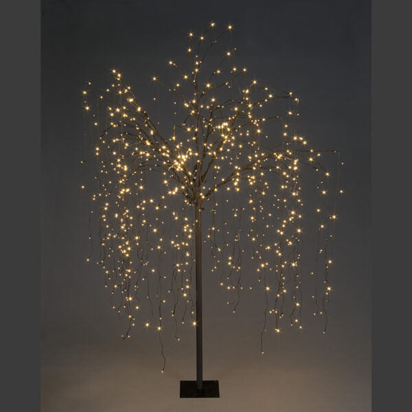 2.4m Weeping Willow Tree