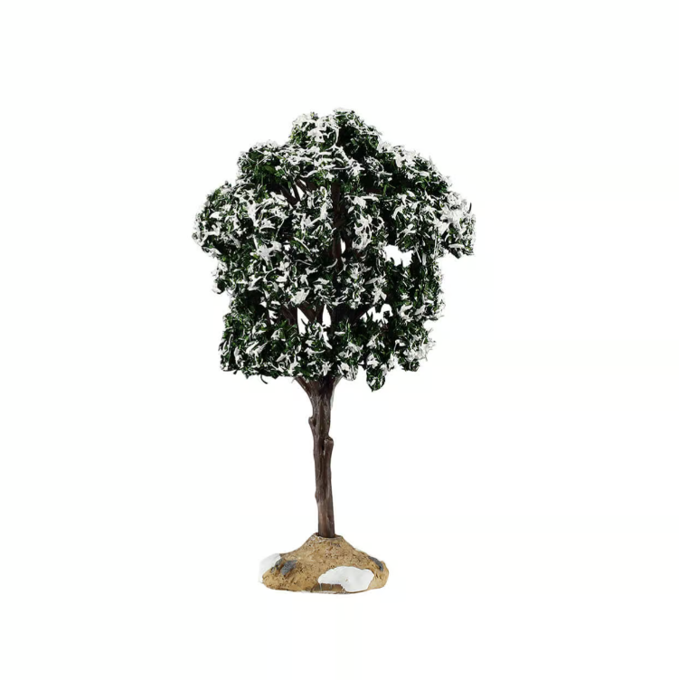 Small Balsam Fir Tree