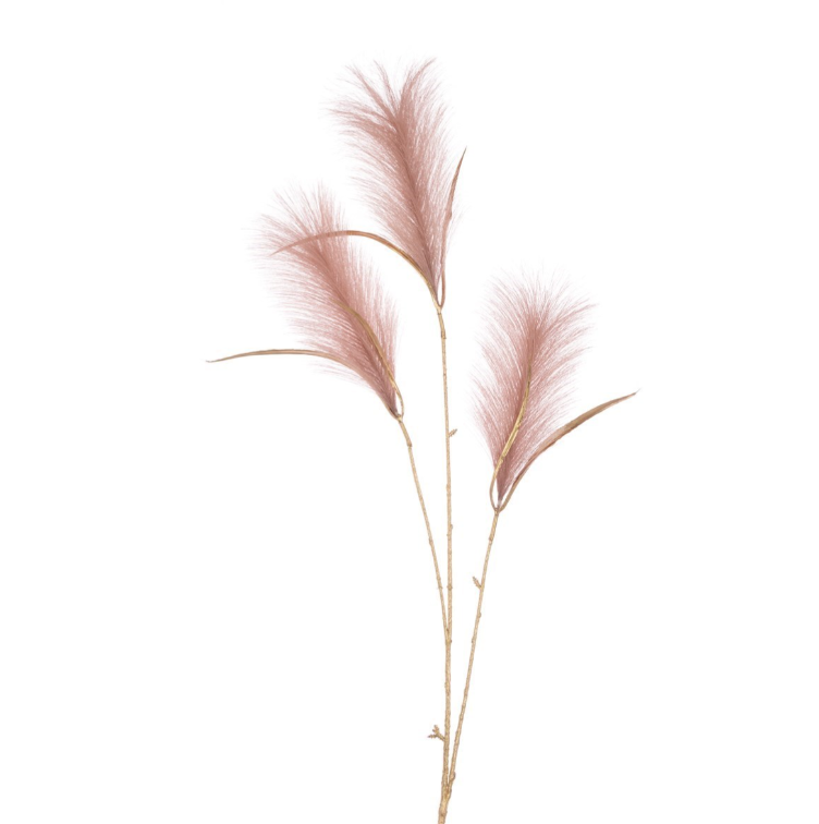 Pampas Spray 99cm