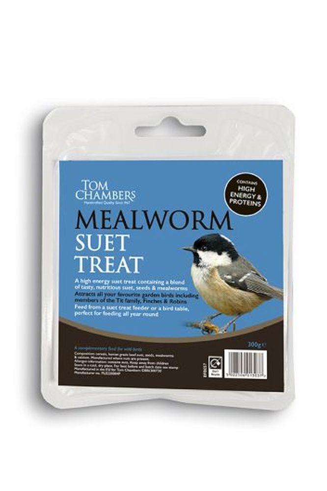 Suet Treat - Insect