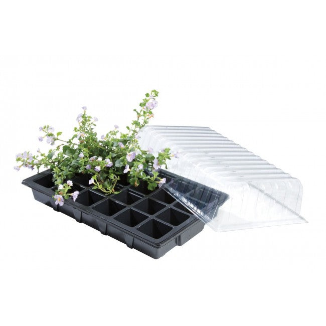 Standard Propagator Triple Pack