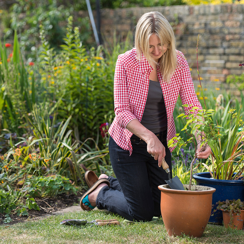 Kent & Stowe Carbon Steel Hand Trowel