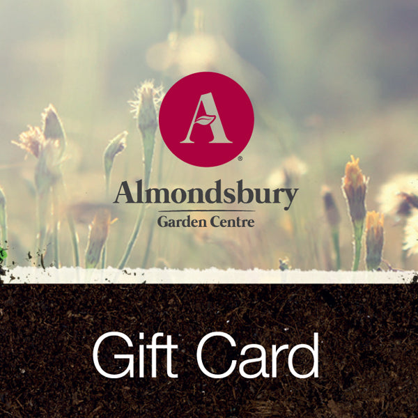 Almondsbury Physical Gift Card (In-store use only)