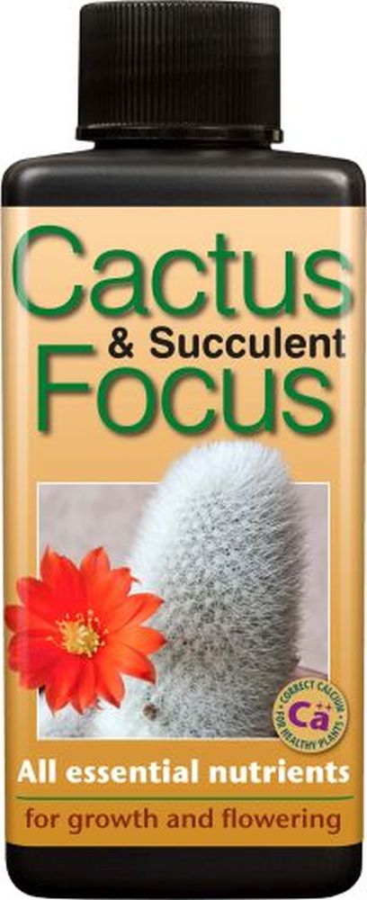 Cactus & Succulent Focus
