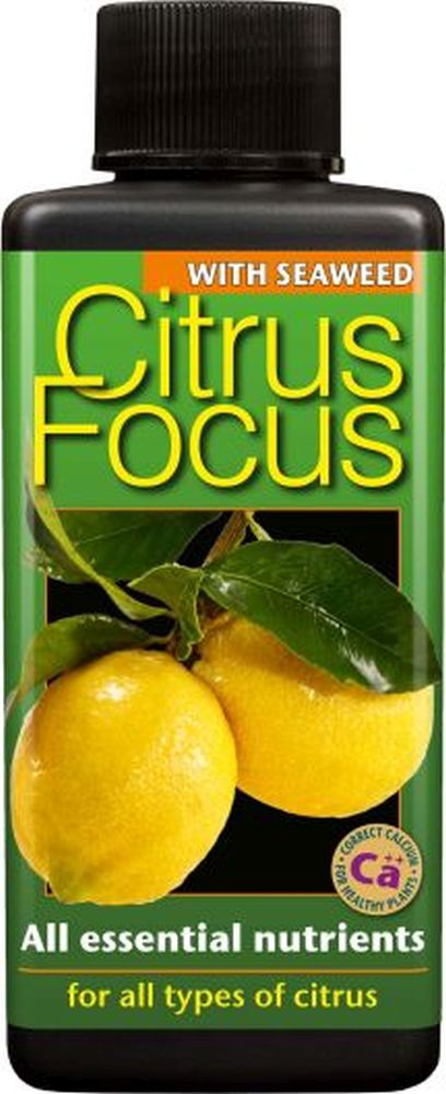 Citrus Focus 100ML