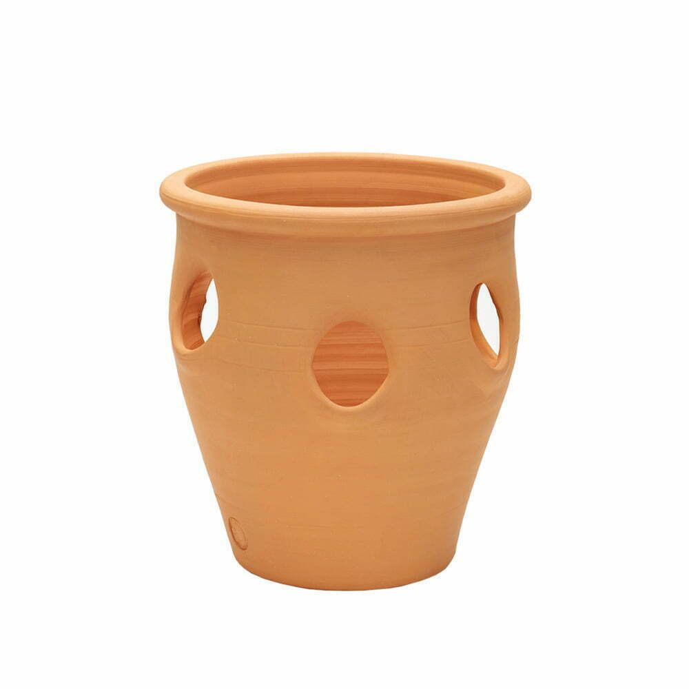 Terracotta Herb Planter 28cm