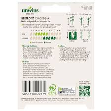 Beetroot (Round) Chioggia