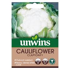 Cauliflower Clapton F1
