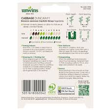 Cabbage (Pointed) Duncan F1